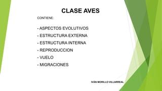 CLASE AVES
CONTIENE:
- ASPECTOS EVOLUTIVOS
- ESTRUCTURA EXTERNA
- ESTRUCTURA INTERNA
- REPRODUCCION
- VUELO
- MIGRACIONES
IVÁN MORILLO VILLARREAL
 