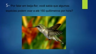 5- Por falar em beija-flor, você sabia que algumas
espécies podem voar a até 150 quilômetros por hora?
 