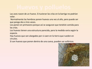 Las aves nacen de un huevo. Si tuvieran las crías en la barriga no podrían
volar.
Normalmente las hembras ponen huevos una vez al año, pero puede ser
que ponga dos o tres veces.
Los ponen en primavera porque así se aseguran que tendrán comida para
las crías.
Los huevos tienen una estructura parecida, pero la medida varia según la
especie.
Hay huevos que son alargados por si caen en la tierra que rueden en
círculos.
Si son huevos que ponen dentro de una cueva, pueden ser esféricos.
Huevos y polluelos
 