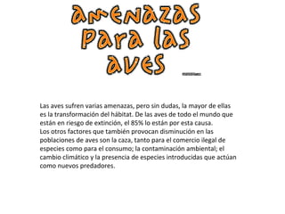 Las aves sufren varias amenazas, pero sin dudas, la mayor de ellas
es la transformación del hábitat. De las aves de todo el mundo que
están en riesgo de extinción, el 85% lo están por esta causa.
Los otros factores que también provocan disminución en las
poblaciones de aves son la caza, tanto para el comercio ilegal de
especies como para el consumo; la contaminación ambiental; el
cambio climático y la presencia de especies introducidas que actúan
como nuevos predadores.
 