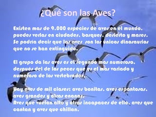 ¿Qué son las Aves?
Existen mas de 9.000 especies de aves en el mundo,
puedes verlas en ciudades, bosques, desierto y mares.
Se podría decir que las aves son los únicos dinosaurios
que no se han extinguido.
El grupo da las aves es el segundo mas numeroso,
después del de los peces que es el mas variado y
numeroso de los vertebrados.
Hay aves de mil clases; aves bonitas, aves espantosas,
aves grandes y otras enanas,
Aves que vuelan alto y otras incapaces de ello, aves que
cantan y aves que chillan.
 
