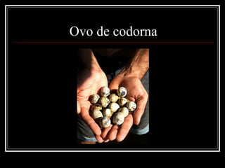 Ovo de codorna
 