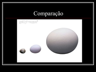Comparação
 