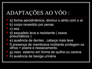 ADAPTAÇÕES AO VÔO :
   a) forma aerodinâmica, diminui o atrito com o ar
   b) corpo revestido por penas
   c) asa
   d) esqueleto leve e resistente ( ossos
    pneumáticos )
   e) ausência de dentes , cabeça mais leve
   f) presença de membrana nictitante protegem os
    olhos = poeira e ressecamento.
   g) osso esterno em forma de quilha ou carena
   h) ausência de bexiga urinária
 