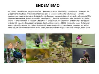 Aves delecuador PPT