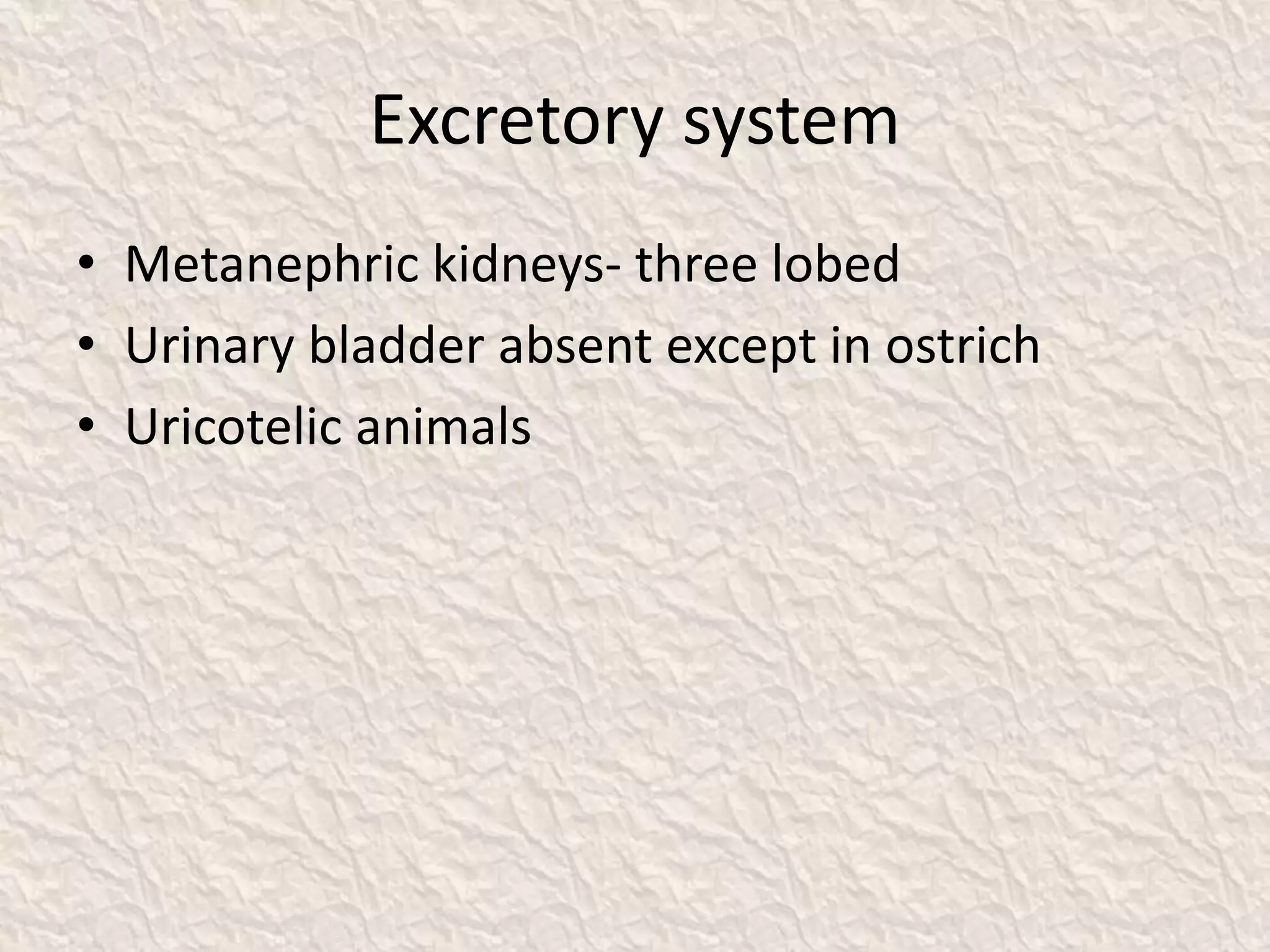 Excretory system
• Metanephric kidneys- three lobed
• Urinary bladder absent except in ostrich
• Uricotelic animals
 