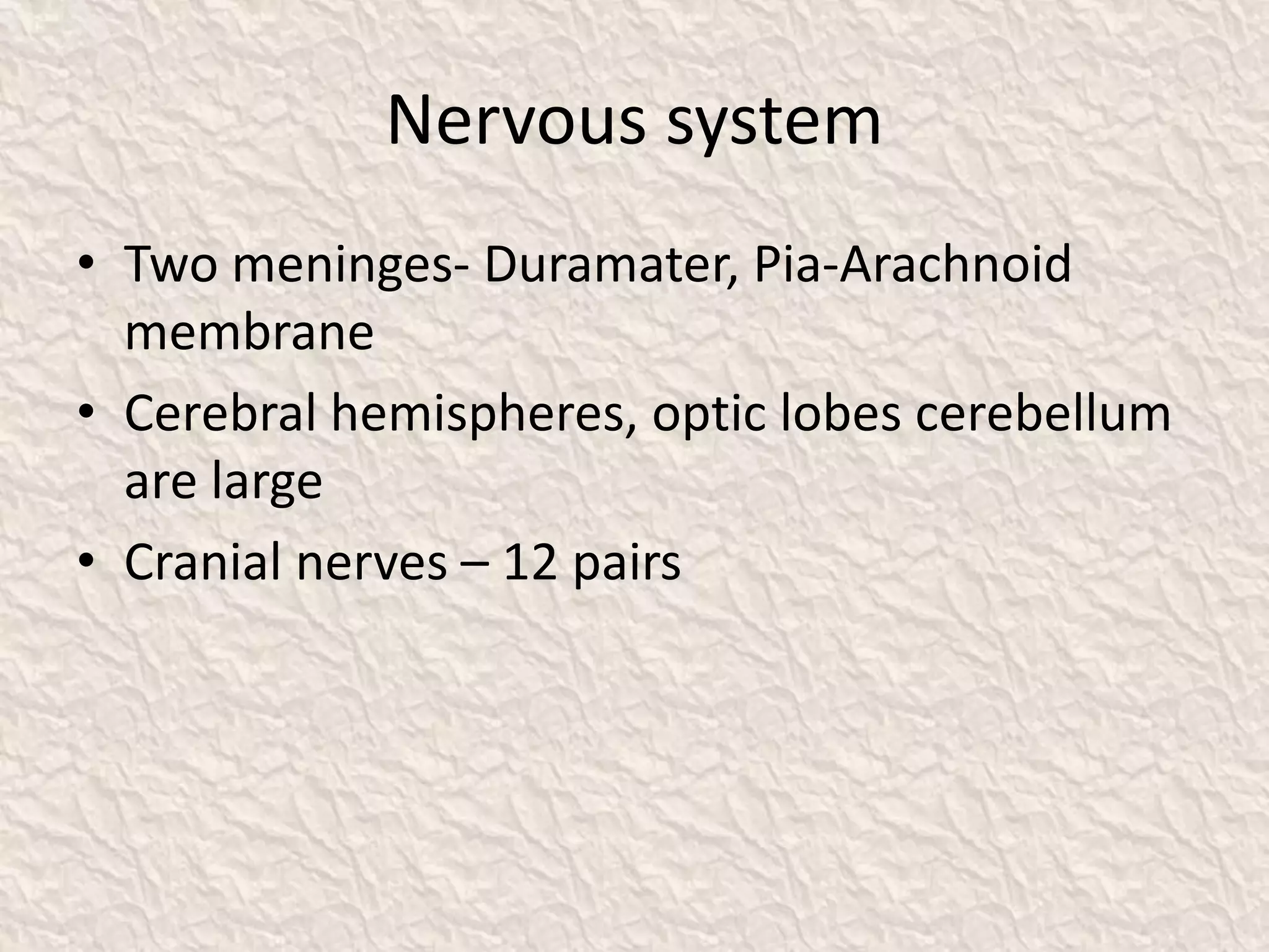Nervous system
• Two meninges- Duramater, Pia-Arachnoid
membrane
• Cerebral hemispheres, optic lobes cerebellum
are large
• Cranial nerves – 12 pairs
 