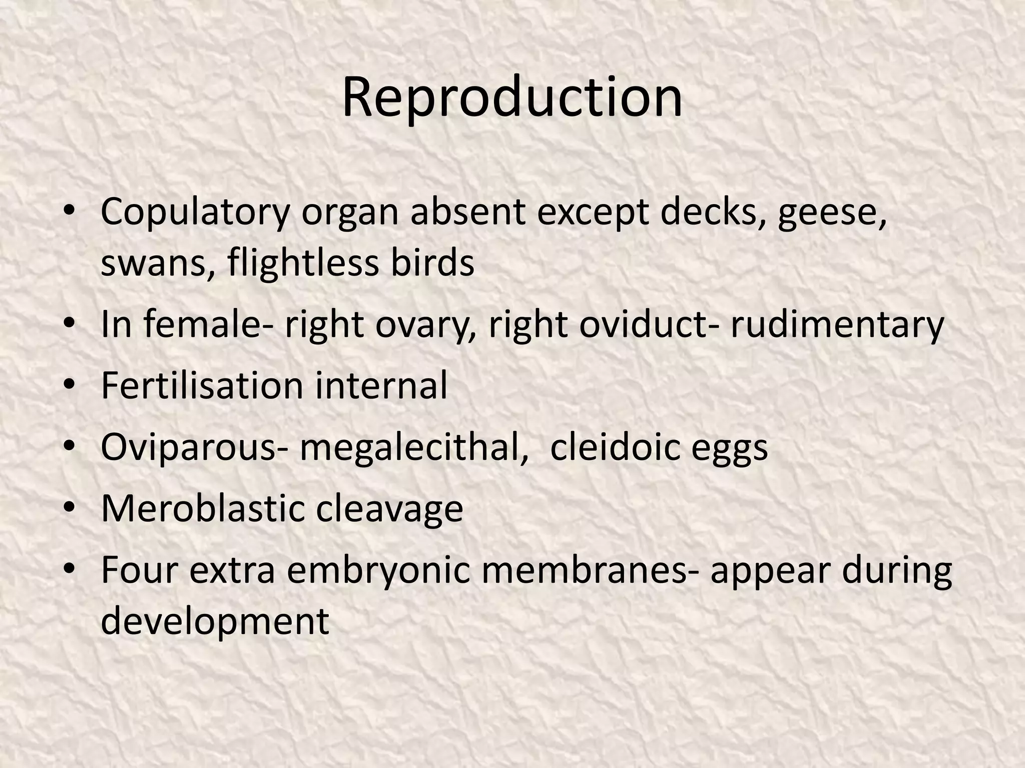 Reproduction
• Copulatory organ absent except decks, geese,
swans, flightless birds
• In female- right ovary, right oviduct- rudimentary
• Fertilisation internal
• Oviparous- megalecithal, cleidoic eggs
• Meroblastic cleavage
• Four extra embryonic membranes- appear during
development
 