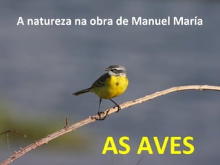 AS AVES
A natureza na obra de Manuel María
 
