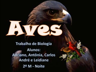 Aves Trabalho de Biologia Alunos: Adriano, Antônia, Carlos André e Leidiane 2º M - Noite 