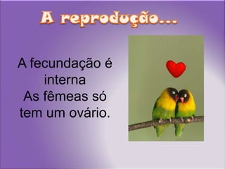 A reprodução...A fecundação é internaAs fêmeas só tem um ovário.