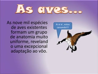 As aves...As nove mil espécies de aves existentes formam um grupo de anatomia muito uniforme, revelando uma excepcional adaptação ao vôo.Ai ai ai , estou cansando!!!