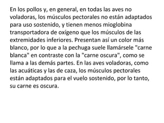 En los pollos y, en general, en todas las aves no voladoras, los músculos pectorales no están adaptados para uso sostenido, y tienen menos mioglobina transportadora de oxígeno que los músculos de las extremidades inferiores. Presentan así un color más blanco, por lo que a la pechuga suele llamársele "carne blanca" en contraste con la "carne oscura", como se llama a las demás partes. En las aves voladoras, como las acuáticas y las de caza, los músculos pectorales están adaptados para el vuelo sostenido, por lo tanto, su carne es oscura. 