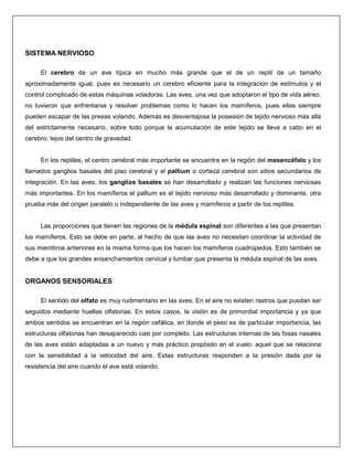 SISTEMA NERVIOSO
El cerebro de un ave típica en mucho más grande que el de un reptil de un tamaño
aproximadamente igual, pues es necesario un cerebro eficiente para la integración de estímulos y el
control complicado de estas máquinas voladoras. Las aves, una vez que adoptaron el tipo de vida aéreo,
no tuvieron que enfrentarse y resolver problemas como lo hacen los mamíferos, pues ellas siempre
pueden escapar de las presas volando. Además es desventajosa la posesión de tejido nervioso más allá
del estrictamente necesario, sobre todo porque la acumulación de este tejido se lleva a cabo en el
cerebro, lejos del centro de gravedad.
En los reptiles, el centro cerebral más importante se encuentra en la región del mesencéfalo y los
llamados ganglios basales del piso cerebral y el pallium o corteza cerebral son sitios secundarios de
integración. En las aves, los ganglios basales se han desarrollado y realizan las funciones nerviosas
más importantes. En los mamíferos el pallium es el tejido nervioso más desarrollado y dominante, otra
prueba más del origen paralelo o independiente de las aves y mamíferos a partir de los reptiles.
Las proporciones que tienen las regiones de la médula espinal son diferentes a las que presentan
los mamíferos. Esto se debe en parte, al hecho de que las aves no necesitan coordinar la actividad de
sus miembros anteriores en la misma forma que los hacen los mamíferos cuadrúpedos. Esto también se
debe a que los grandes ensanchamientos cervical y lumbar que presenta la médula espinal de las aves.
ORGANOS SENSORIALES
El sentido del olfato es muy rudimentario en las aves. En el aire no existen rastros que puedan ser
seguidos mediante huellas olfatorias. En estos casos, la visión es de primordial importancia y ya que
ambos sentidos se encuentran en la región cefálica, en donde el peso es de particular importancia, las
estructuras olfatorias han desaparecido casi por completo. Las estructuras internas de las fosas nasales
de las aves están adaptadas a un nuevo y más práctico propósito en el vuelo: aquel que se relaciona
con la sensibilidad a la velocidad del aire. Estas estructuras responden a la presión dada por la
resistencia del aire cuando el ave está volando.
 