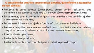 • Presença de ossos porosos (ocos) pouco denso, porém resistentes, que
permitem à ave tornar-se mais leve para o voo, são os ossos pneumáticos;
• Sacos aéreos, que são bolsas de ar ligadas aos pulmões e que também ajudam
a ave a se tornar mais leve;
• Forma aerodinâmica, que ajuda a “perfurar” o ar com mais facilidade;
• Presença de quilha ou carena, expansão do osso na anterior da caixa torácica,
na qual se prendem poderosos músculos que movimentam as asas;
• Asas recobertas por penas;
• Ausência de bexiga urinária;
• Ausência de dentes, que contribui para a reduzir o peso do corpo.
 