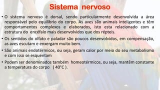 • O sistema nervoso é dorsal, sendo particularmente desenvolvida a área
responsável pelo equilíbrio do corpo. As aves são animais inteligentes e têm
comportamentos complexos e elaborados, isto esta relacionado com a
estrutura do encéfalo mais desenvolvidos que dos répteis.
• Os sentidos do olfato e paladar são poucos desenvolvidos, em compensação,
as aves escutam e enxergam muito bem.
• São animais endotérmicos, ou seja, geram calor por meio do seu metabolismo
e com isso se esquentam
• Podem ser denominados também homeotérmicos, ou seja, mantêm constante
a temperatura do corpo ( 40°C ).
 