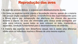 • As aves são animais dióicos e ovíparos com desenvolvimento direto.
• Em todas as espécies ocorre cúpula e fecundação interna, apesar de a maioria
não possuir órgão copulador (pênis). A transferência dos espermatozoides para
a fêmea ocorre por justaposição das aberturas das cloacas dos parceiros
durante a cópula. Os ovos são eliminados pela cloaca sendo protegidos por
uma casca calcária, quase todas as aves colocam os ovos, mantendo-os
aquecidos, condição fundamental para o desenvolvimento do embrião.
• A maioria das espécies tem dimorfismo sexual, isto é, existe uma diferença
nítida entre os indivíduos machos e fêmeas de uma mesma espécie.
 