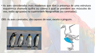 • As aves consideradas mais modernas que têm a presença de uma estrutura
esquelética chamada quilha ou carena à qual se prendem aos músculos do
voo, estão agrupadas na superordem Neognathae (ou carenadas).
OBS: As aves carenadas, são capazes de voar, exceto o pinguim.
 