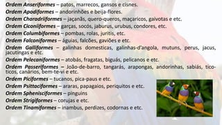 Ordem Anseriformes – patos, marrecos, gansos e cisnes.
Ordem Apodiformes – andorinhões e beija-flores.
Ordem Charadriiformes – jaçanãs, quero-queros, maçaricos, gaivotas e etc.
Ordem Ciconiiformes – garças, socós, jaburus, urubus, condores, etc.
Ordem Columbiformes – pombas, rolas, juritis, etc.
Ordem Falconiformes – águias, falcões, gaviões e etc.
Ordem Galliformes – galinhas domesticas, galinhas-d’angola, mutuns, perus, jacus,
jacutingas e etc.
Ordem Pelecaniformes – atobás, fragatas, biguás, pelicanos e etc.
Ordem Passeriformes – João-de-barro, tangarás, arapongas, andorinhas, sabiás, tico-
ticos, canários, bem-te-vi e etc.
Ordem Piciformes – tucanos, pica-paus e etc.
Ordem Psittaciformes – araras, papagaios, periquitos e etc.
Ordem Sphenisciformes – pinguins
Ordem Strigiformes – corujas e etc.
Ordem Tinamiformes – inambus, perdizes, codornas e etc.
 