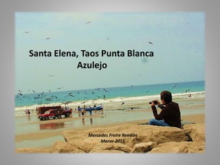 Santa Elena, Taos Punta Blanca
Azulejo
Mercedes Freire Rendón
Marzo 2015
 