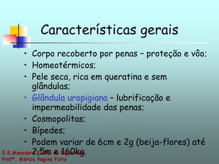 Características gerais <ul><li>Corpo recoberto por penas – proteção e vôo; </li></ul><ul><li>Homeotérmicos; </li></ul><ul>...