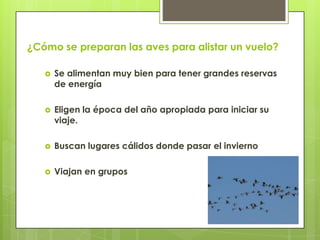¿Cómo se preparan las aves para alistar un vuelo?
 Se alimentan muy bien para tener grandes reservas
de energía
 Eligen la época del año apropiada para iniciar su
viaje.
 Buscan lugares cálidos donde pasar el invierno
 Viajan en grupos
 