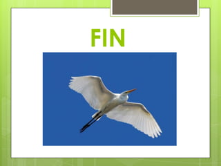 FIN
 