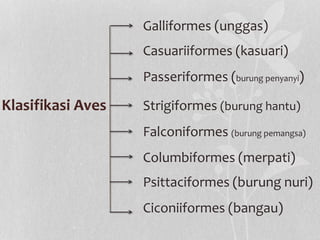 Klasifikasi Aves
Galliformes (unggas)
Casuariiformes (kasuari)
Passeriformes (burung penyanyi)
Strigiformes (burung hantu)
Falconiformes (burung pemangsa)
Columbiformes (merpati)
Psittaciformes (burung nuri)
Ciconiiformes (bangau)
 