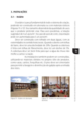 VIICIRCUITODETECNOLOGIASADAPTADASPARAAAGRICULTURAFAMILIARSISTEMADEPRODUÇÃODEAVESCAIPIRA
17
3. INSTALAÇÕES
3.1 - Aviário
O aviário é a peça fundamental de todo o sistema de criação,
podendo ser construído em alvenaria ou com materiais rústicos
(Figuras 11 e 12). Seu tamanho dependerá da quantidade de aves
que o produtor pretende criar. Para aves poedeiras, a lotação
sugerida é de 4 a 5 aves/m2
.No caso de aves de corte, esta relação
pode ser aumentada para 5 a 6 aves/m2
.
Deve ser construído com telhado em duas águas, com as
extremidades no sentido leste/oeste. Quando coberto com telhas
de barro, deve ter uma declividade de 20%. Quando a cobertura
é feita com telhas de ﬁbrocimento, deve ter um declive de 5%.
A cobertura deve ser bem feita para que a água da chuva não
molhe a cama e a ração.
As instalações também podem ser construídas,
utilizando-se materiais obtidos no próprio sítio do produtor,
como varas, varões, forquilhas etc. O piso deve ser cimentado
para permitir a lavagem e desinfecção do galpão após a retirada
dos lotes.
Figura 11 - Aviário em alvenaria Figura 12 - Aviário em alvenaria
Figura 11 - Aviário em alvenaria Figura 12 - Aviário em alvenaria com
divisória
 