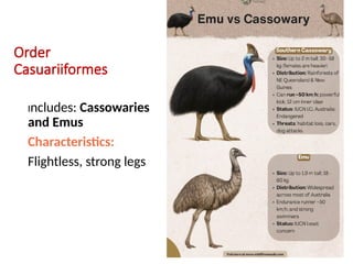 Aves Class.pptx by Abdirahman jibiyow esu | PPTX