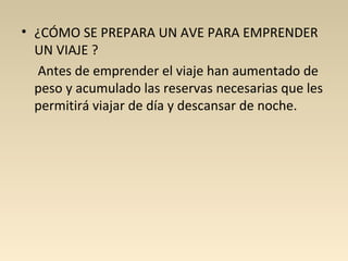 • ¿CÓMO SE PREPARA UN AVE PARA EMPRENDER
UN VIAJE ?
Antes de emprender el viaje han aumentado de
peso y acumulado las reservas necesarias que les
permitirá viajar de día y descansar de noche.
 