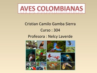 Cristian Camilo Gamba Sierra
Curso : 304
Profesora : Nelcy Laverde
 