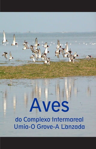Aves
do Complexo Intermareal
Umia-O Grove-A Lanzada
 