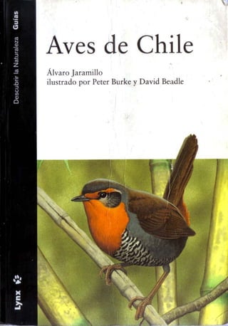 guía Aves De Chile  Alvaro Jaramillo.pdf