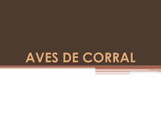 AVES DE CORRAL 