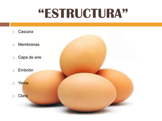 “ESTRUCTURA”
   Cascara


   Membranas


   Capa de aire


   Embrión


   Yema


   Clara
 