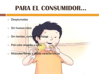 PARA EL CONSUMIDOR…
   Desplumadas


   Sin huesos rotos


   Sin heridas, cortes o arañazos


   Piel color amarilla y clara


   Músculos firmes y olores característicos
 