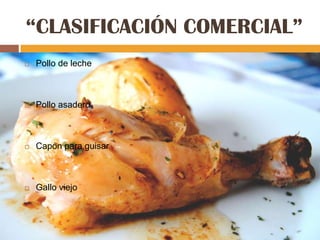 “CLASIFICACIÓN COMERCIAL”
   Pollo de leche



   Pollo asadero



   Capón para guisar



   Gallo viejo
 