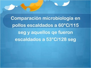 Comparación microbiología en
pollos escaldados a 60°C/115
  seg y aquellos qe fueron
 escaldados a 53°C/128 seg
 