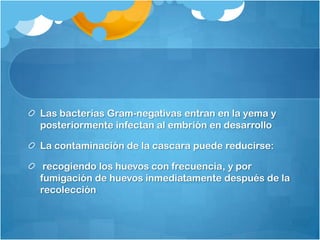 Las bacterias Gram-negativas entran en la yema y
posteriormente infectan al embrión en desarrollo

La contaminación de la cascara puede reducirse:

 recogiendo los huevos con frecuencia, y por
fumigación de huevos inmediatamente después de la
recolección
 