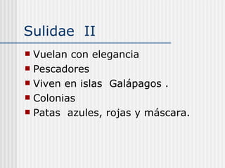 Sulidae  II Vuelan con elegancia  Pescadores  Viven en islas  Galápagos . Colonias  Patas  azules, rojas y máscara. 