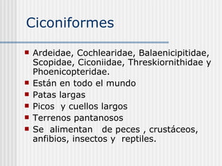 Ciconiformes  Ardeidae, Cochlearidae, Balaenicipitidae, Scopidae, Ciconiidae, Threskiornithidae y  Phoenicopteridae. Están en todo el mundo  Patas largas  Picos  y cuellos largos  Terrenos pantanosos  Se  alimentan  de peces , crustáceos, anfibios, insectos y  reptiles. 