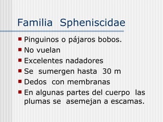 Familia  Spheniscidae Pinguinos o pájaros bobos. No vuelan  Excelentes nadadores  Se  sumergen hasta  30 m Dedos  con membranas  En algunas partes del cuerpo  las plumas se  asemejan a escamas. 