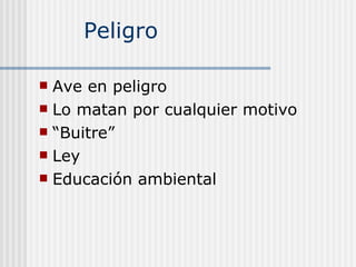 Peligro  Ave en peligro  Lo matan por cualquier motivo “ Buitre” Ley Educación ambiental 