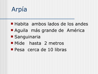 Arpía  Habita  ambos lados de los andes  Aguila  más grande de  América  Sanguinaria  Mide  hasta  2 metros  Pesa  cerca de 10 libras  