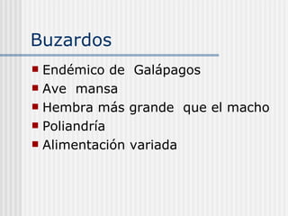 Buzardos  Endémico de  Galápagos  Ave  mansa  Hembra más grande  que el macho Poliandría  Alimentación variada  