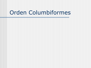 Orden Columbiformes  