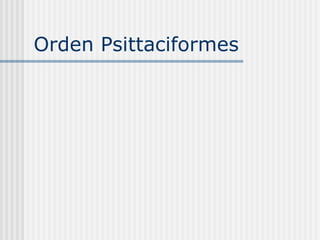 Orden Psittaciformes  