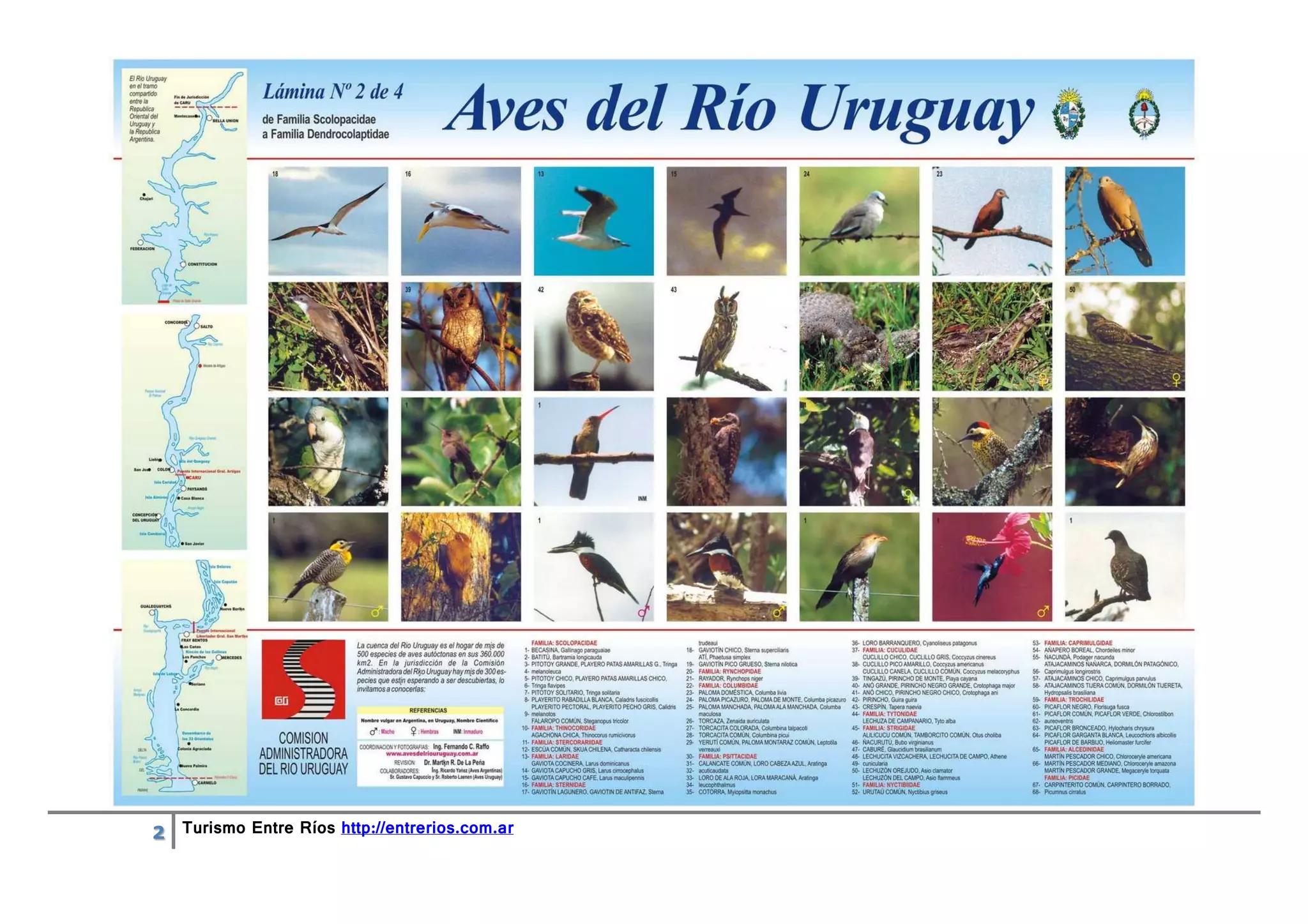 Aves del río Uruguay | PDF | South America Travel | Travel Locations