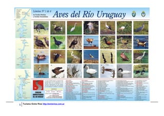 Turismo Entre Ríos http://entrerios.com.ar
 